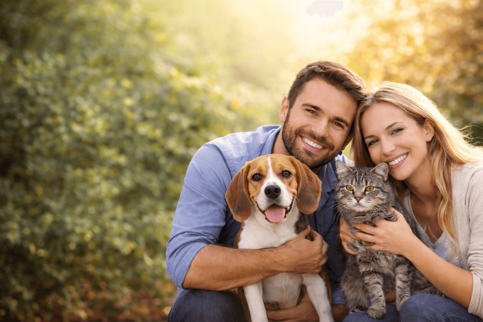 Hund und Katze als geschützter Begleiter im Alltag